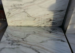 Indian Statuario Marble In India